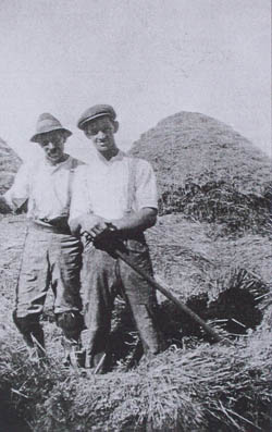 thatchers with straw