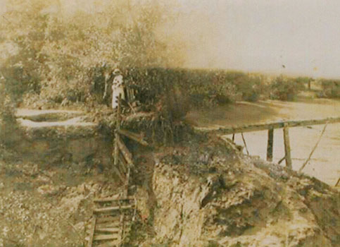 plank bridge